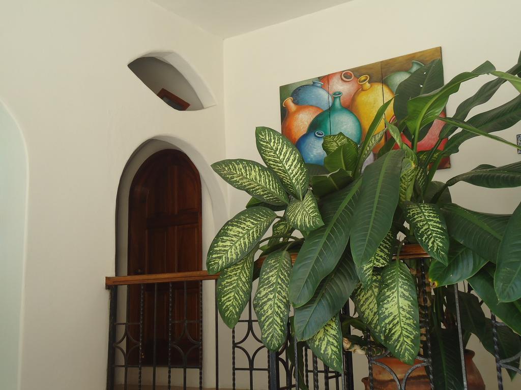 Hotel Cordelia'S Puerto Ángel Εξωτερικό φωτογραφία